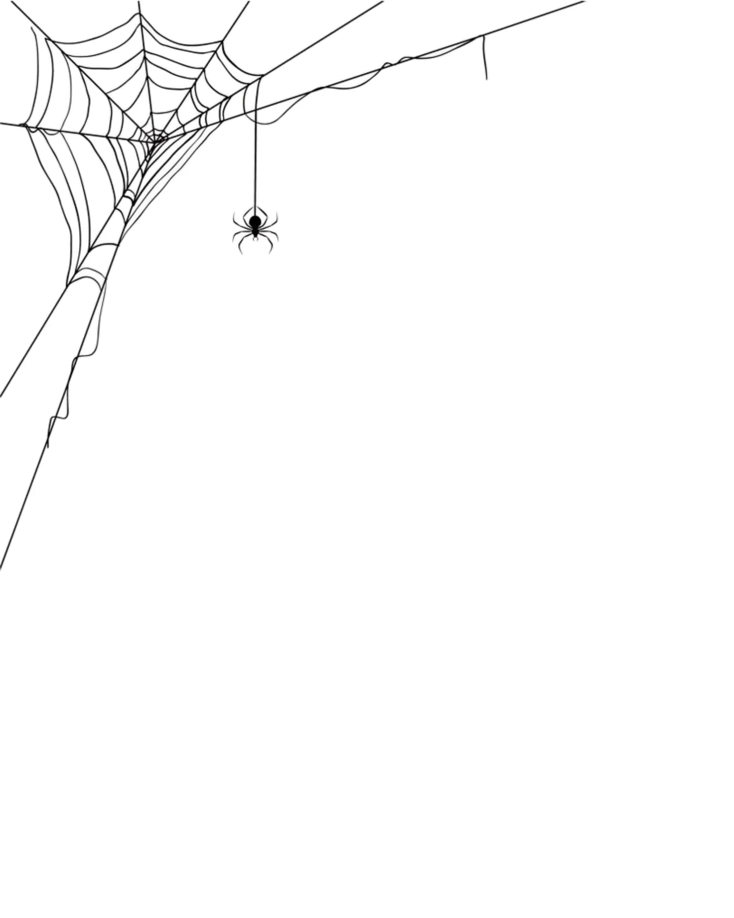 Red Spider Web Streetwear T-Shirt – 100% Cotton